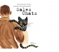 https://www.nicolasvial.com/files/gimgs/th-75_Sales_chats.png